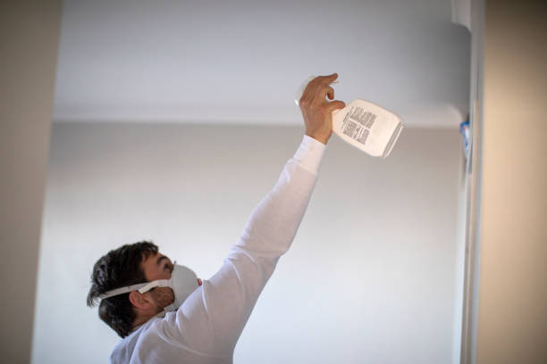 Best Mold Removal Company Near Me  in Clifton, TX