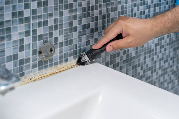 Best Professional Mold Removal  in Clifton, TX