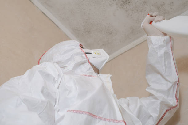 Best Mold Testing and Removal  in Clifton, TX